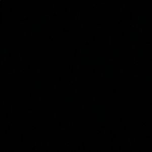 Meet your Posher, Leon